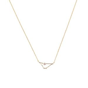 NWT - Capricorn Gold Necklace